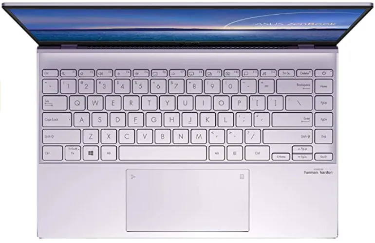 Asus ZenBook 14 UX425EA-BM020T